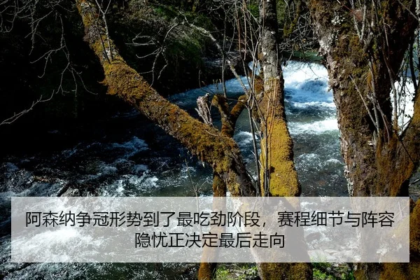 阿森纳争冠形势到了最吃劲阶段，赛程细节与阵容隐忧正决定最后走向