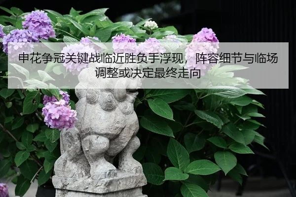 申花争冠关键战临近胜负手浮现，阵容细节与临场调整或决定最终走向